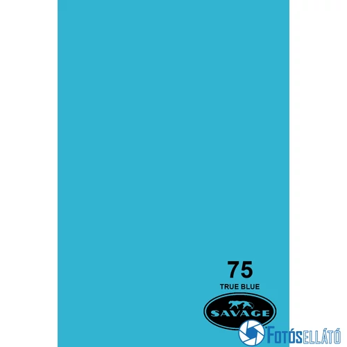 Savage Papírháttér 2.72m x 11m (75 true blue)